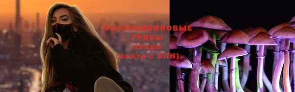 ПСИЛОЦИБИНОВЫЕ ГРИБЫ Володарск