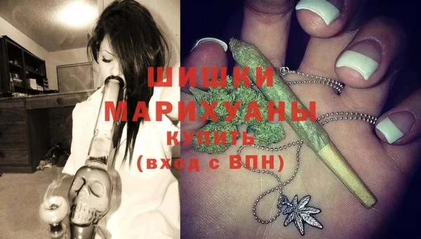 молекула духа Бронницы