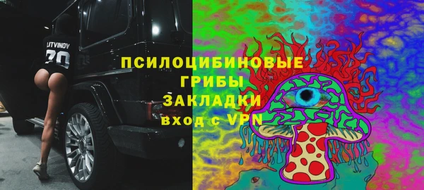 гашик Вязники