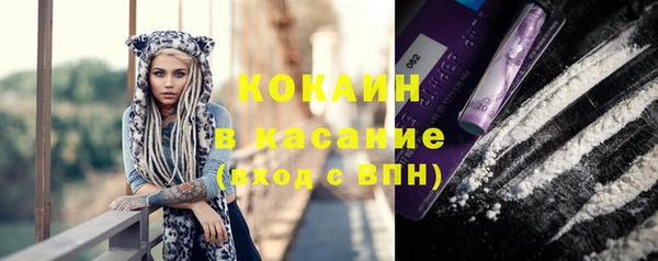 ПСИЛОЦИБИНОВЫЕ ГРИБЫ Вяземский