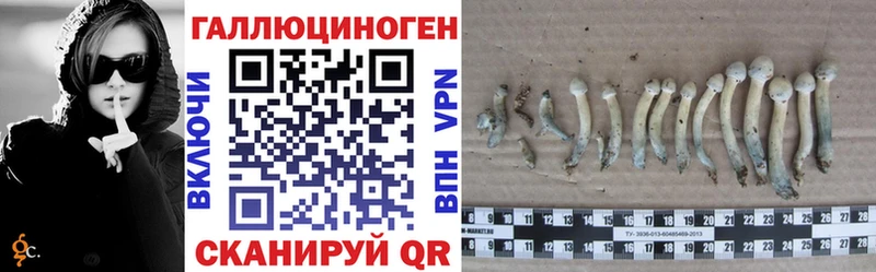 Галлюциногенные грибы Psilocybine cubensis omg вход Дрезна купить